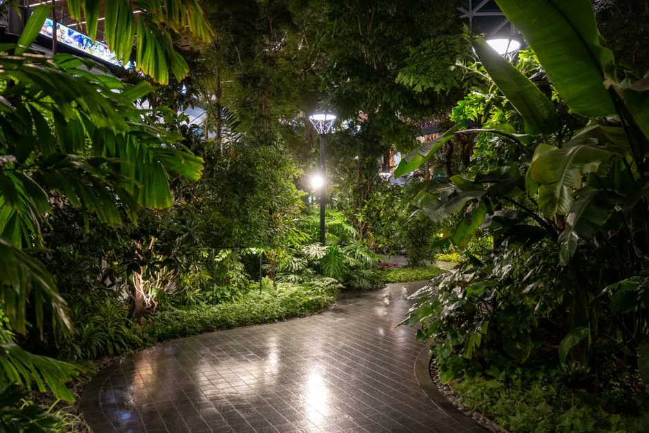Doha Airport - Garden, Qatar