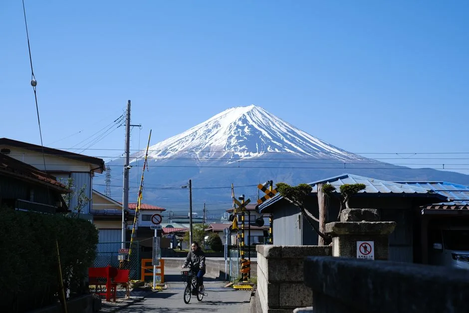Shizuoka Makinohara, Japan