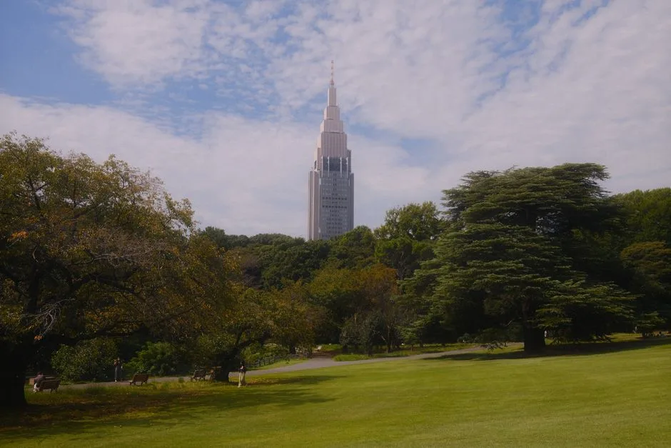 Tokyo Yoyogi, Japan