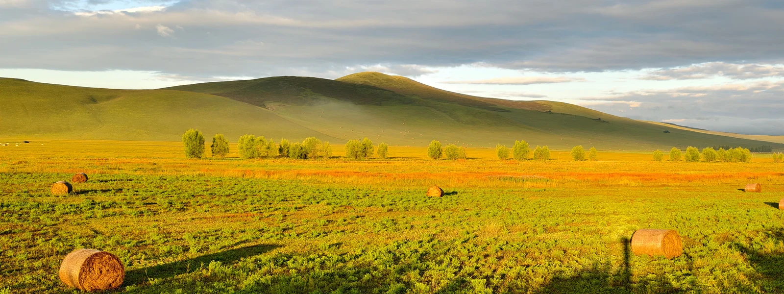 Mongolia