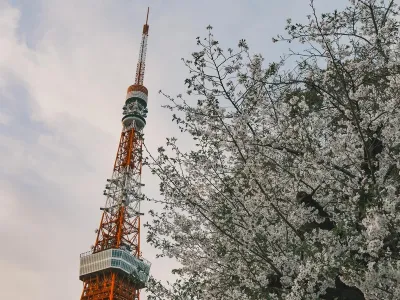 Japan