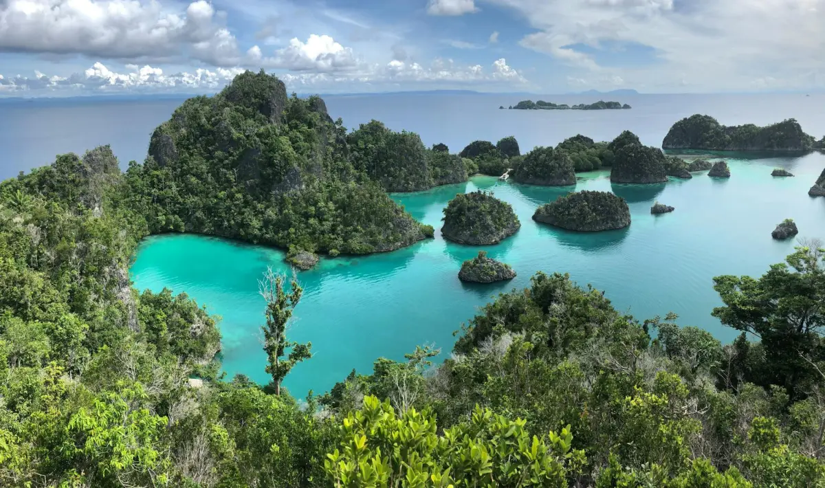Komodo & Raja Ampat: Offline Connectivity Guide 2026