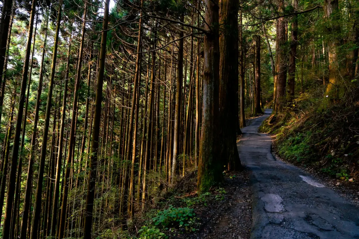 Rural Japan & Hiking: Offline Connectivity Guide 2026